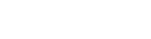 PhysioLeads logo, white gear P icon beside PhysioLeads wordmark